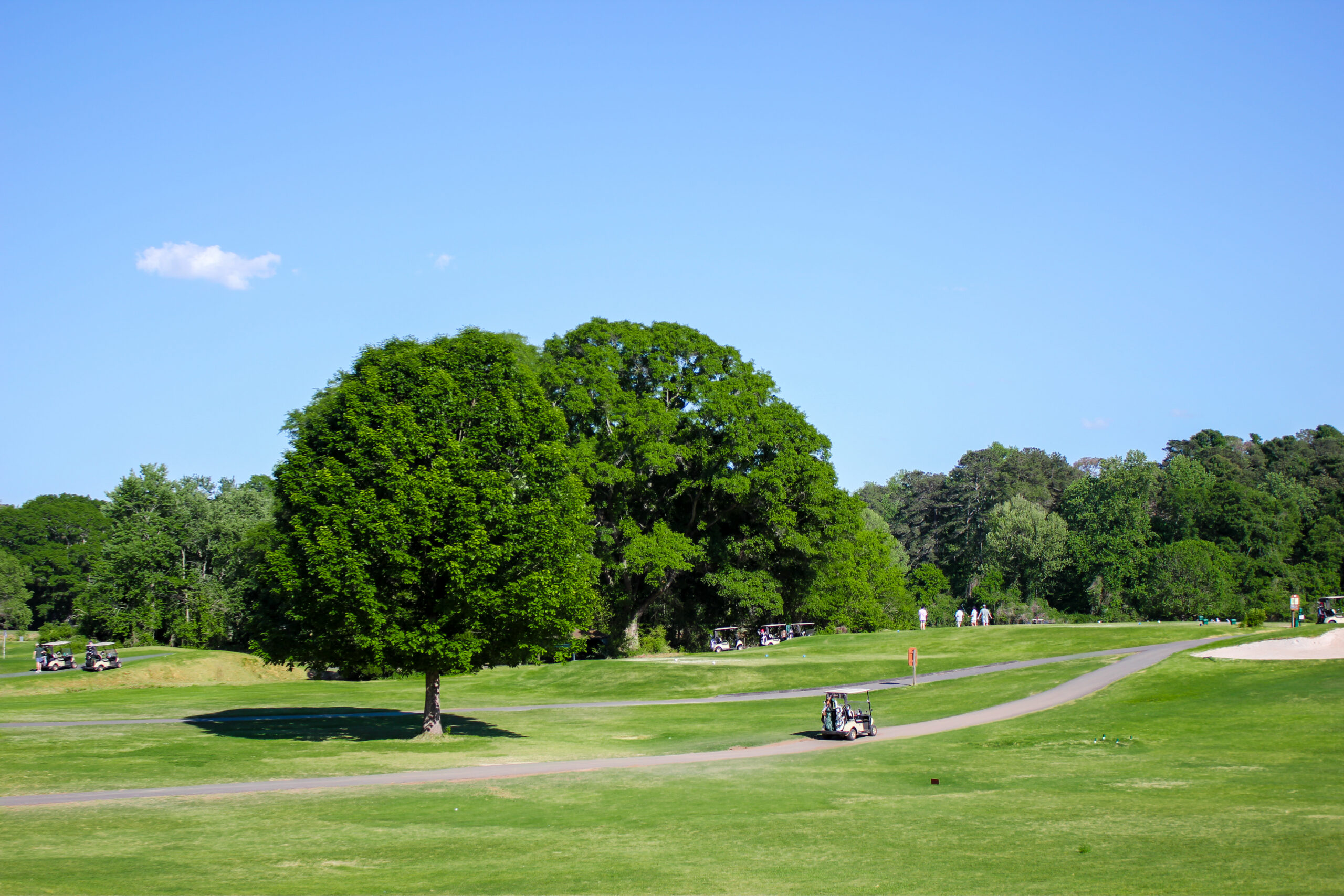 Chastain Park