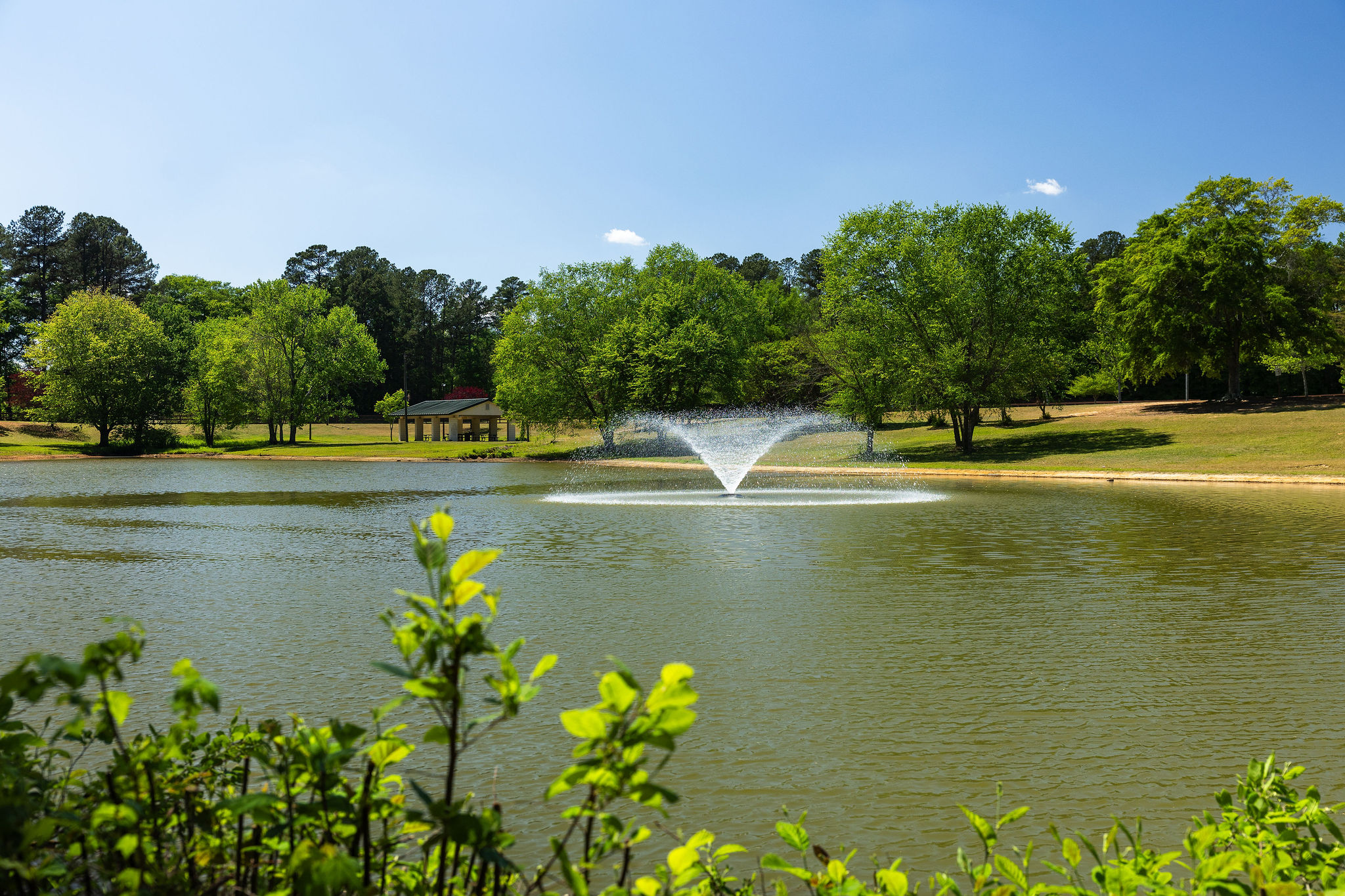 Powder Springs