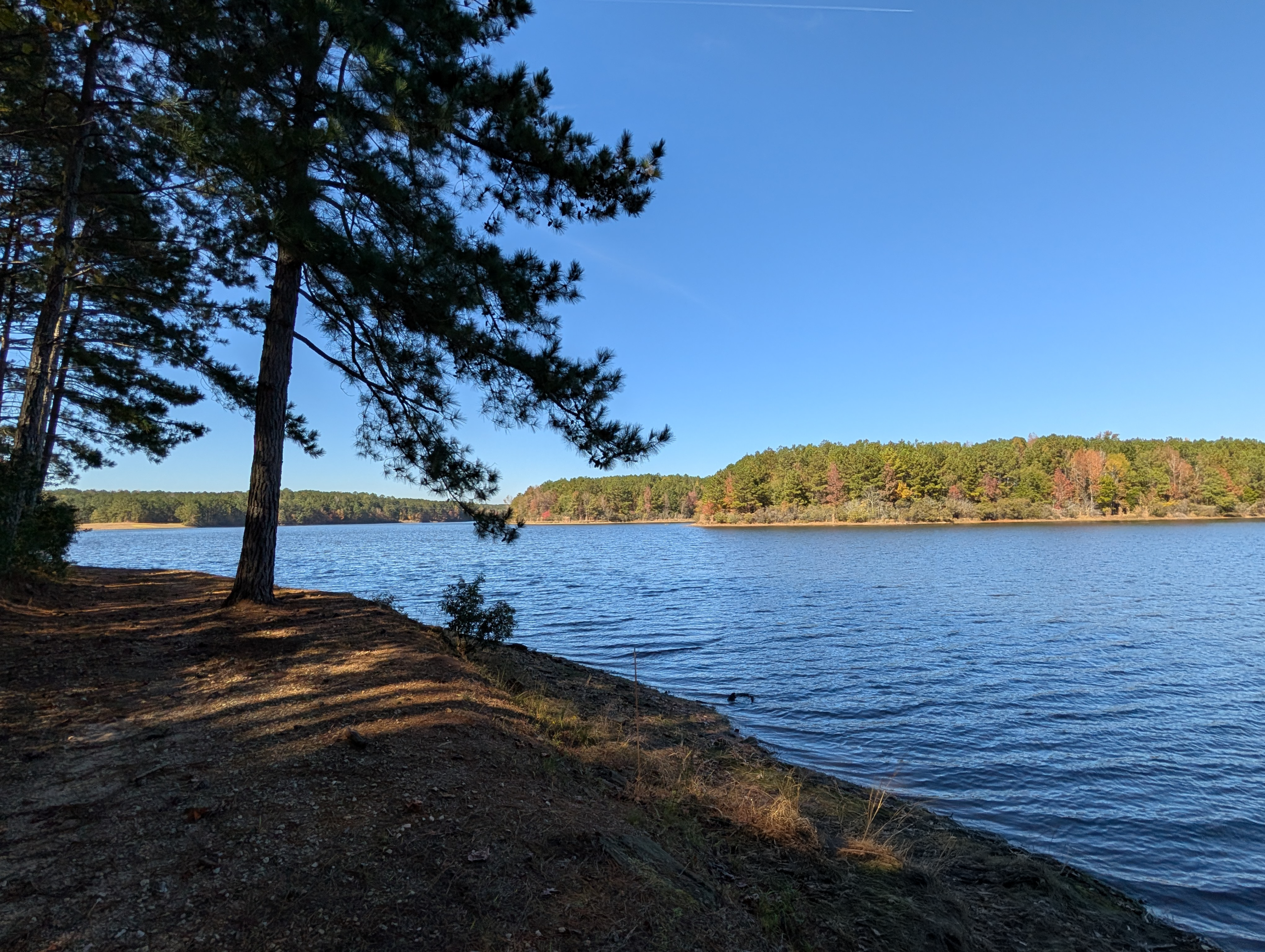 Locust Grove